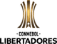 CONMEBOL Libertadores