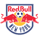 New York Red Bulls