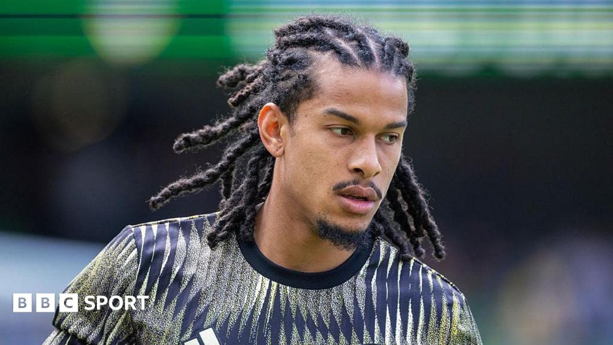 Schmidt joins Young Boys on permanent deal