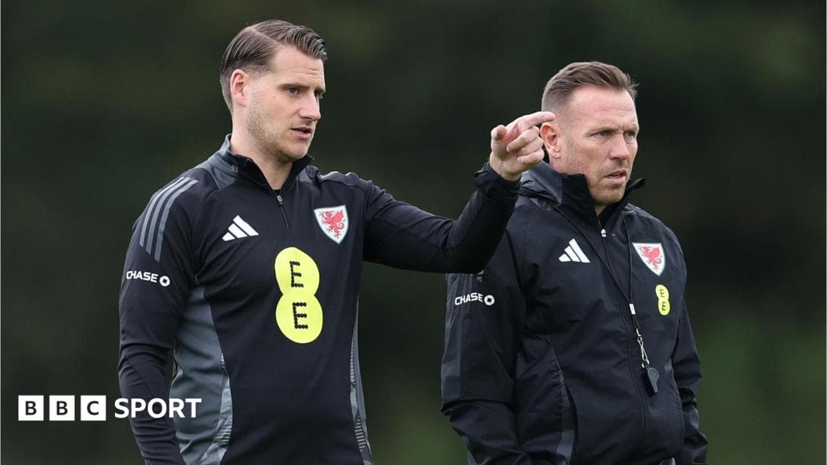 Cremers leaves Wales role as key Bellamy assistant