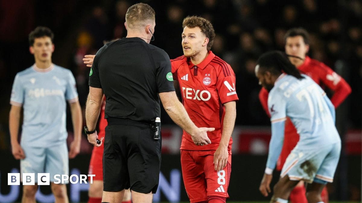 Scottish VAR is a mess, says Scotland's McGinn