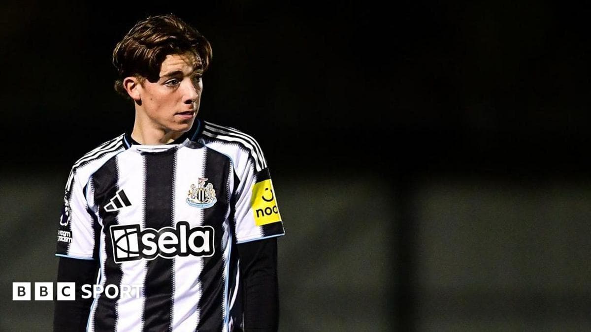 Luton sign Newcastle full-back Ashby on loan