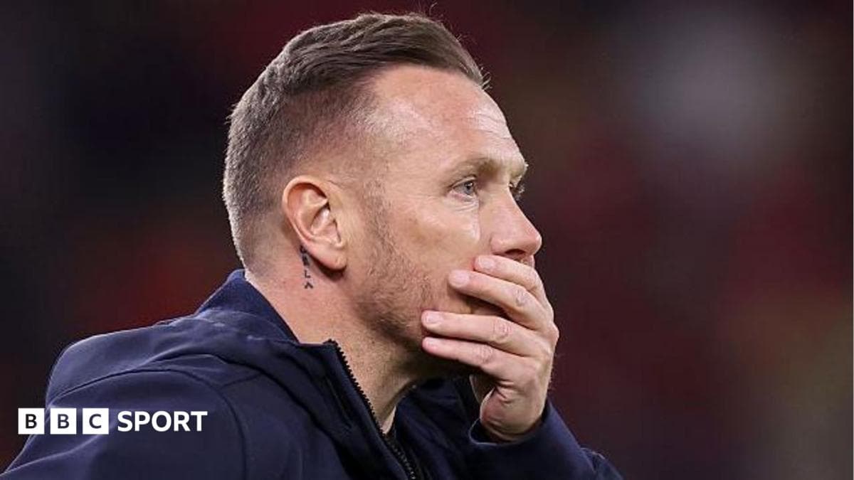 Wales boss Bellamy has 'burned bridges' - Roberts
