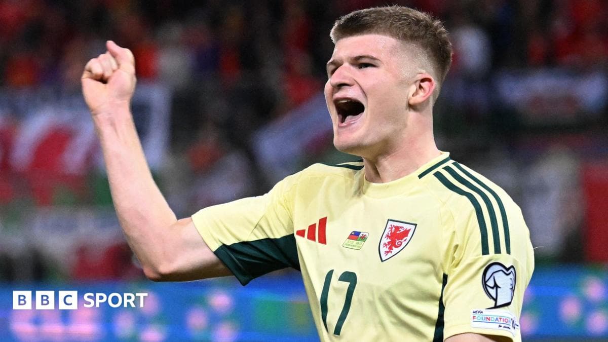 Wolves sign Wales midfielder James on loan