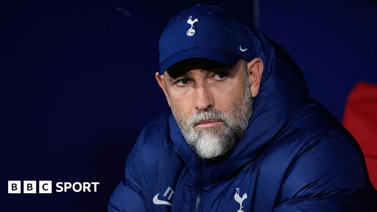 Spurs owner to leave Tudor future to club executives