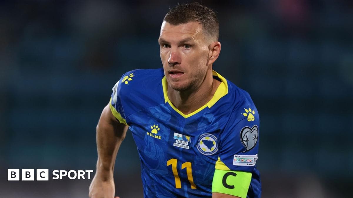 Bosnia's Dzeko poses big World Cup threat - Bellamy