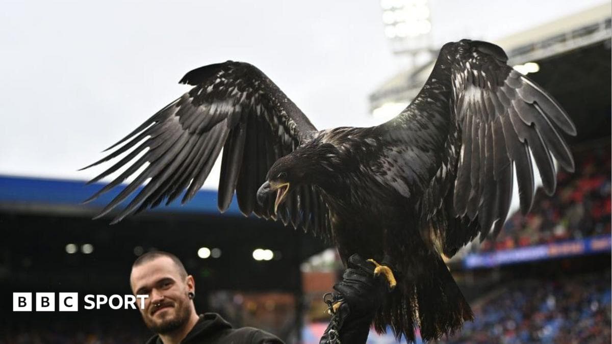 Animal rights group asks Crystal Palace to retire eagle mascot
